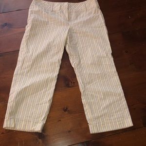 Ann Taylor Loft pants